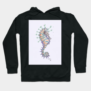 Seahorse drawing Hoodie